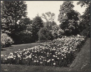 John L. Gardner estate, Warren St.