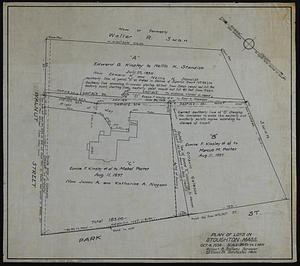 Plan of lots in Stoughton Mass.
