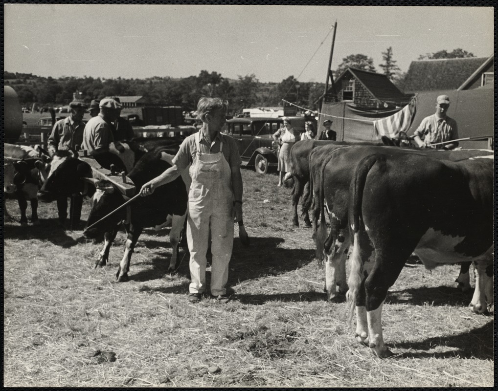 Maine county fair Digital Commonwealth