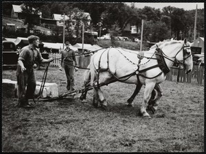 Stanley Wartheim of Richmond, Vt. Turnbridge Fair