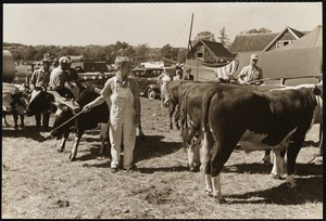 Maine county fair