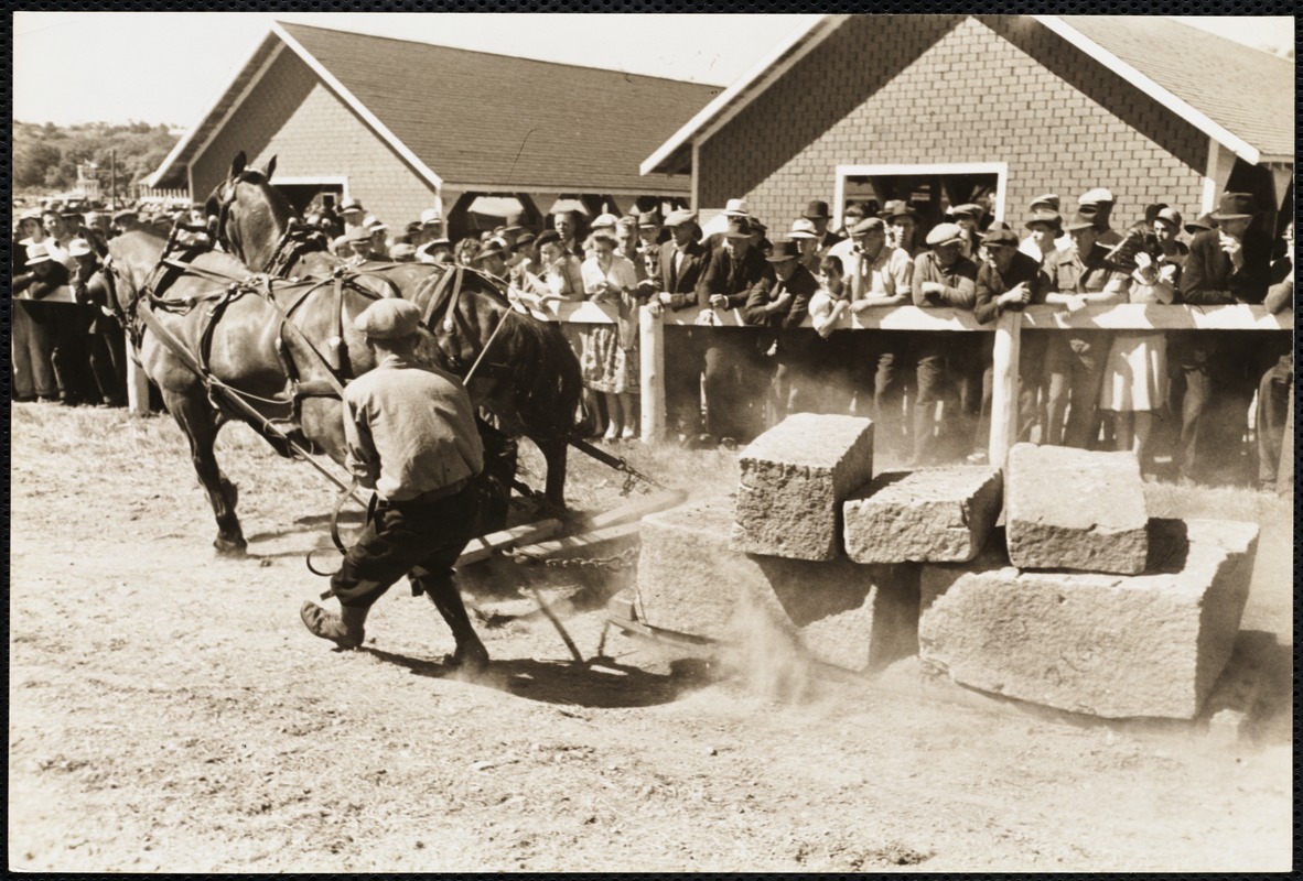 Maine county fair Digital Commonwealth