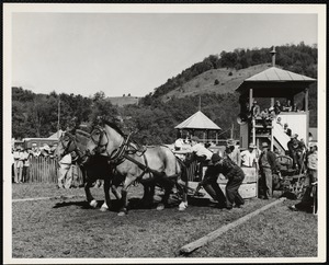 Turnbridge, Vt. Worlds Fair horse pulling - Donald Guild