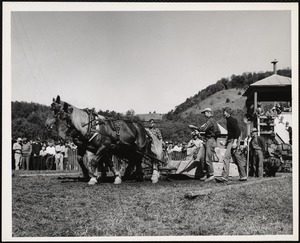 Turnbridge Vt. Worlds Fair horse pulling - J. W. Leach + son from Pawlett, Vt
