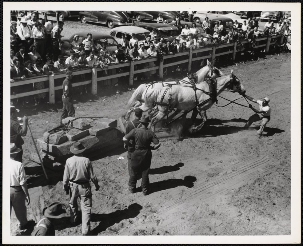 Tim Hutchinson Turner, Maine Windsor, Maine, fair horse pulling