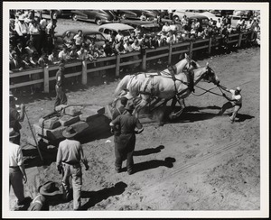 Tim Hutchinson - Turner, Maine Windsor, Maine, fair horse pulling