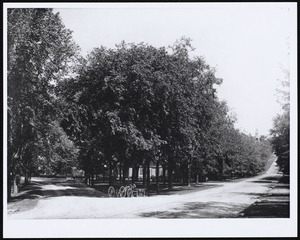 Lenox: intersection of Main & Cliffwood streets