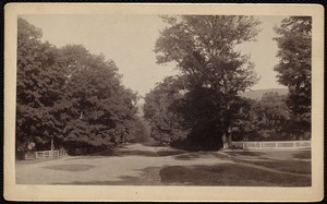 Lenox: West Street from monument