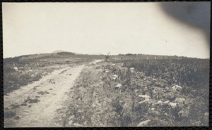 Francis W. Rockwell: camping trip on Mt. Greylock