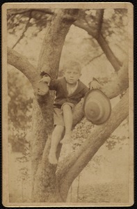 St. Helen's Home: boy in tree