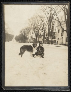 Lenox: boy on sled & his dog in front of Lenox Library