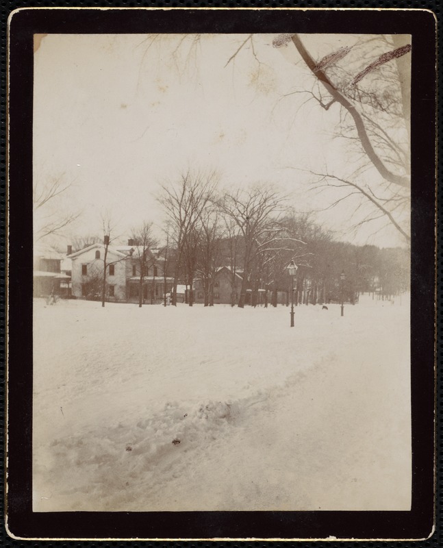 Lenox: Winter scene on Main Street