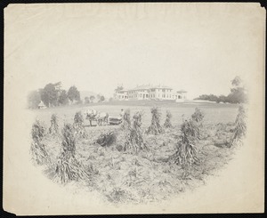 Wheatleigh: house with corn being harvested