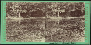 Bloody Pond, Lake George, N. Y.