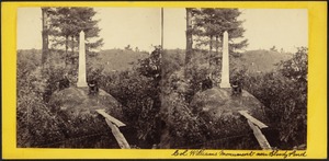 Col. Williams' Monument, near Bloody Pond
