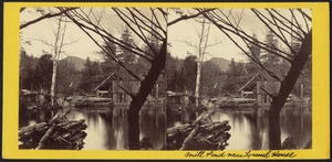 The mill pond near Laurel House