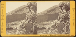 On Mt. Washington carriage road, looking down