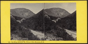 The Willey House stable and Mt. Willard - White Mountains, N. H.