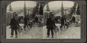 A dog team in the land of ice, Arctic City, Alaska