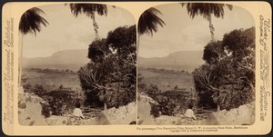 The picturesque Vive Plantation (Clerc estate) S.W. to steaming Mont Pelée, Martinique