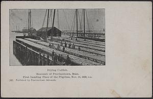 Drying codfish