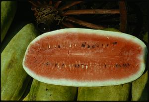 View of watermelon cut in half