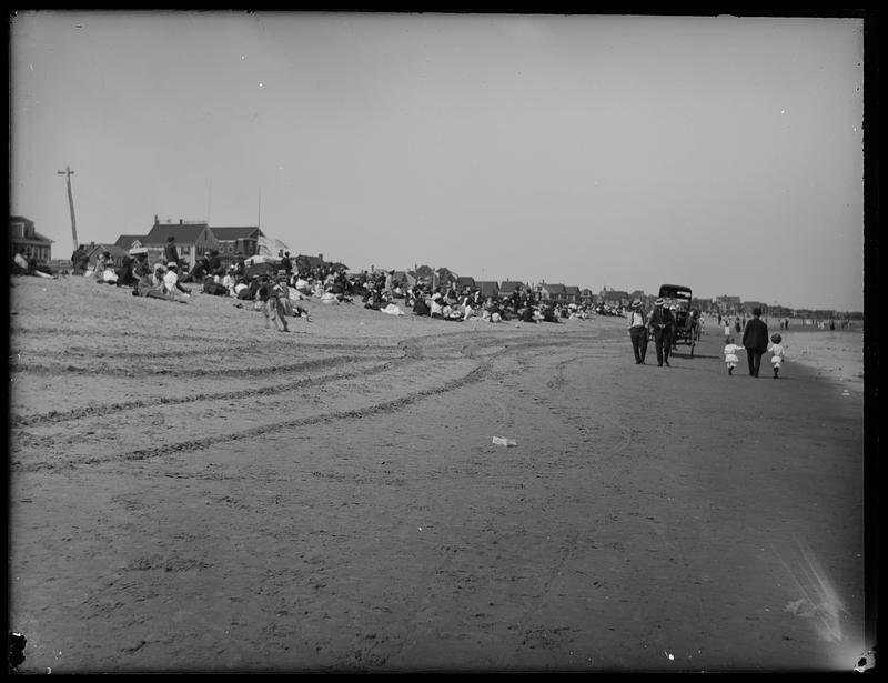People and horse and buggy on a beach