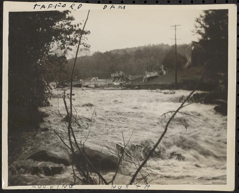 Tayford Dam looking north