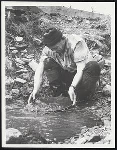 Searching for a Strike. Stocky Yrjoe Korhonen pans for nuggets and gold grain in a creek near the Lemmen River of northern Finland, some 250 miles north of the Polar Circle. He uses the same primitive methods as the prospectors who worked the old Klondike and Yukon strikes in America.