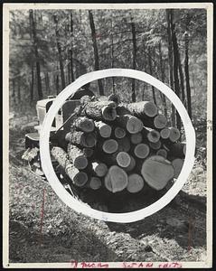 Shades of the Old Fashioned Ox Team in the Logging Industry! Power Tractor Pulls Thirty-Three Logs on a Sled on Soft Ground. These logs are on their way to a coal mine at Wilkes-Barre, Pa., where they will be used in making cross ties for underground railways and heavy sills supporting tracks. The logger is James T. Moyer, of Hobbie, Pa. Charge will be doubled if credit line is omitted.