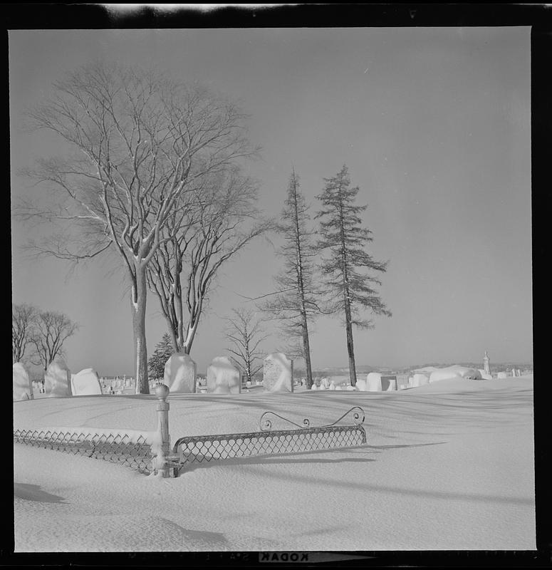 Cemetery scenes