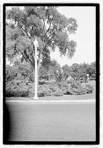 Lamppost
