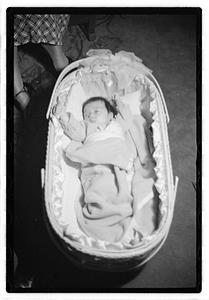 A baby in a bassinet