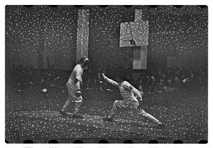 Fencing match
