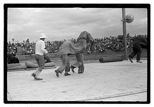 Boston Park Department circus event