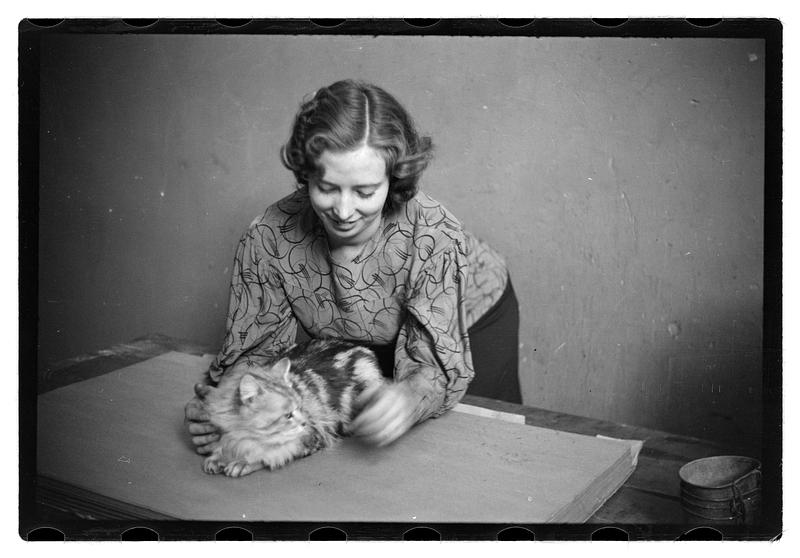 Cat show