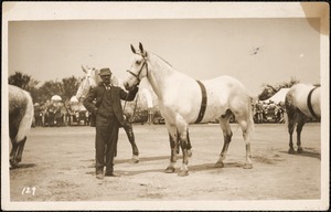 Man with a horse