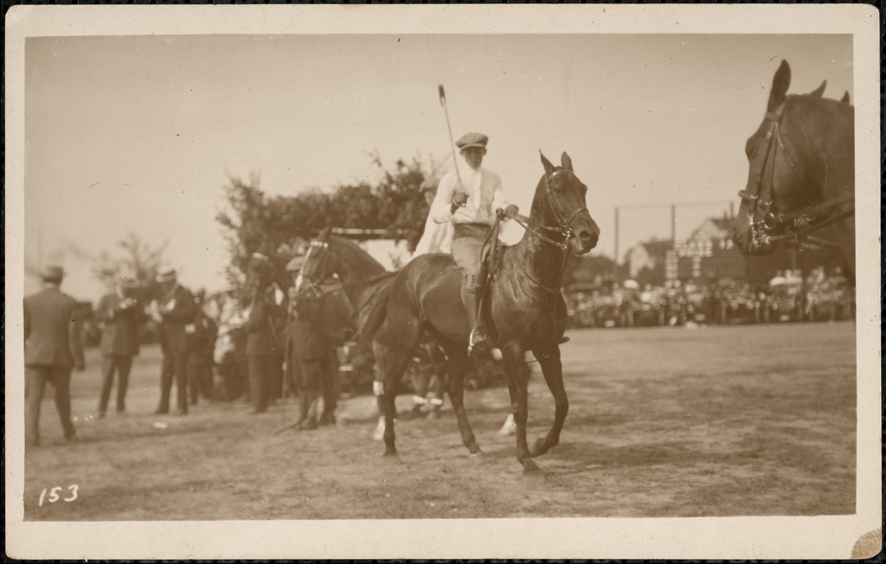 Young polo player on horse