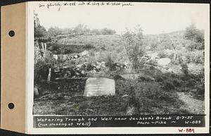 Watering trough and well near Jackson's Brook, Hardwick, Mass., Aug. 7, 1935