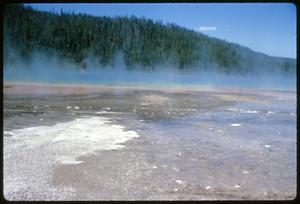 Grand Prismatic Spring and forest, Yellowstone National Park, Wyoming
