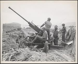 US flak gun, North Africa