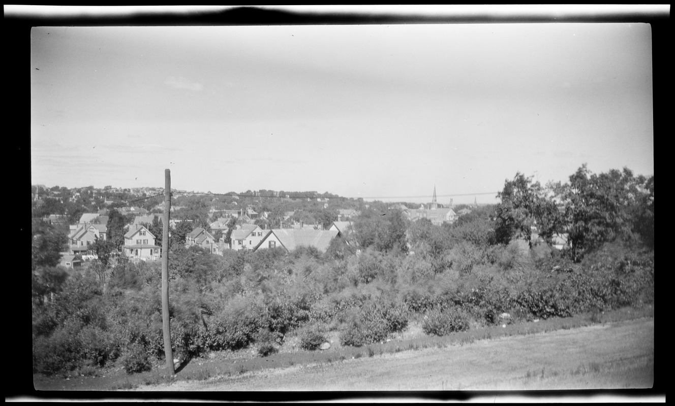 View from Adams School