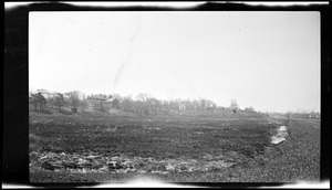 Stump Meadow Atlantic