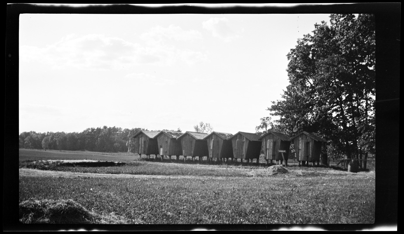 Corn house, Mass Agriculture College