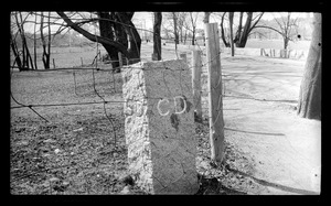 School boundary (Adams & Whitwell Sts.)