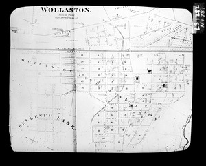 Plan Wollaston 1876