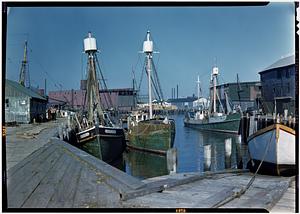 Gloucester, Fishing fleet, marine