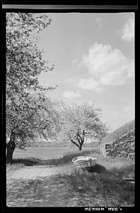 Landscape, Wenham