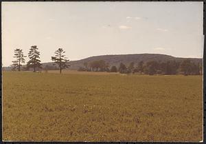 Field and distant mountain