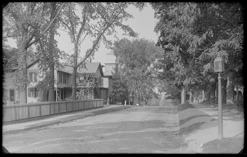 Tree-lined street